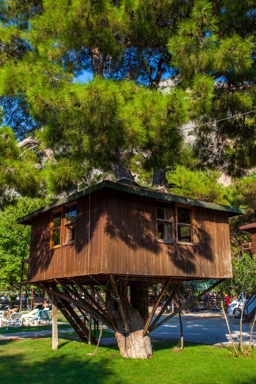 Gorge Club Hotel Saklikent Bilik gambar